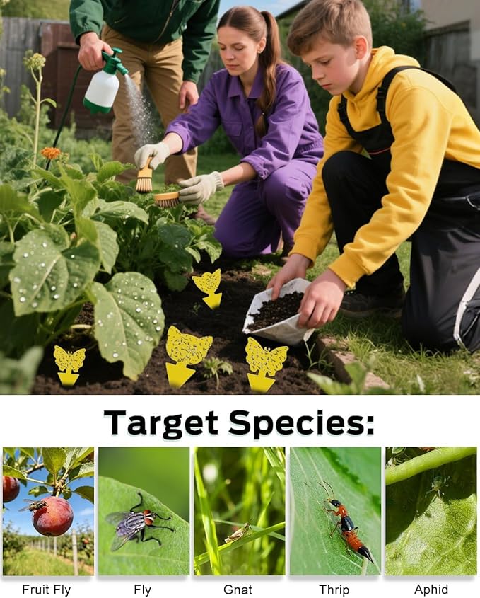 Sticky Traps for Flying Insects -20 PCS Yellow Sticky Traps for Seed Starting, Propagation Trays & Hydroponic Systems, Fungus Gnat & Whitefly Catcher for Grow Tents, Nurseries, Gardens