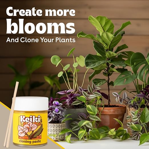 Keiki Paste for Plants to Clone & Create New Growth — 2X The Paste Cloning Gel for Orchids & Houseplants, Rooting Hormone Paste for Cuttings, Plant Propagation Gel, Nutrient Rich Growth Gel, 0.5 oz