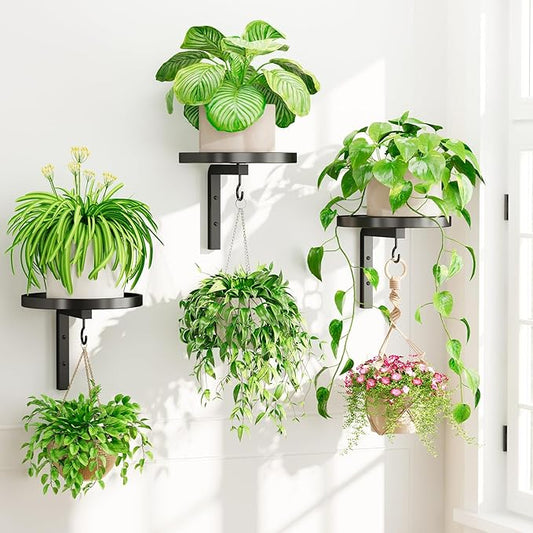 iDavosic.ly Wall Plant Holder Set of 3 for Indoor Outdoor, Metal Hanger with 3 Hooks, Floating Flower Display Stand for Window, Space Saving & Easy to Assemble (Pots/Chains/Plants Not Included)