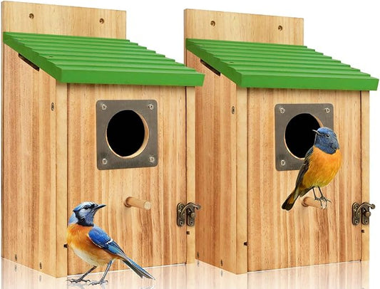2 Pack Bird Houses for Outside - Cedar Bluebird Houses with Metal Predator Guard, Birdhouse for Wren Bluebirds Finches Swallows, Carbonized Wooden (Assembly Required)