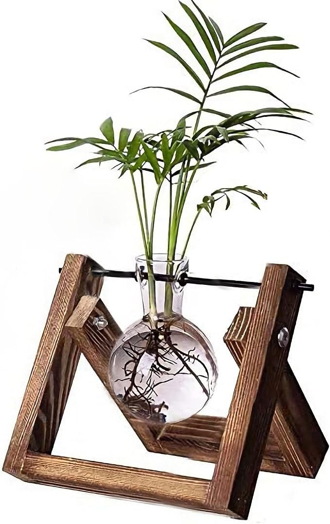 Kingbuy Plant Propagation Station Bulb Vase, 1 Bulb Vase | Air Plant Terrarium, Wooden Swivel Holder, Desktop Glass Planter, For Indoor Water Plants