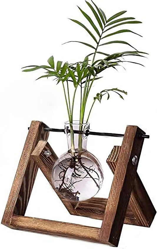 Kingbuy Plant Propagation Station Bulb Vase, 1 Bulb Vase | Air Plant Terrarium, Wooden Swivel Holder, Desktop Glass Planter, For Indoor Water Plants