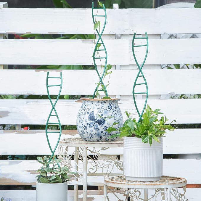 Yohsnor Indoor Plant Trellis for Potted Plants - Upgraded Metal Spiral Design for Climbing Plants, Durable Powder Coated Support for Small Houseplant Pots, Ideal for Indoor & Outdoor Use