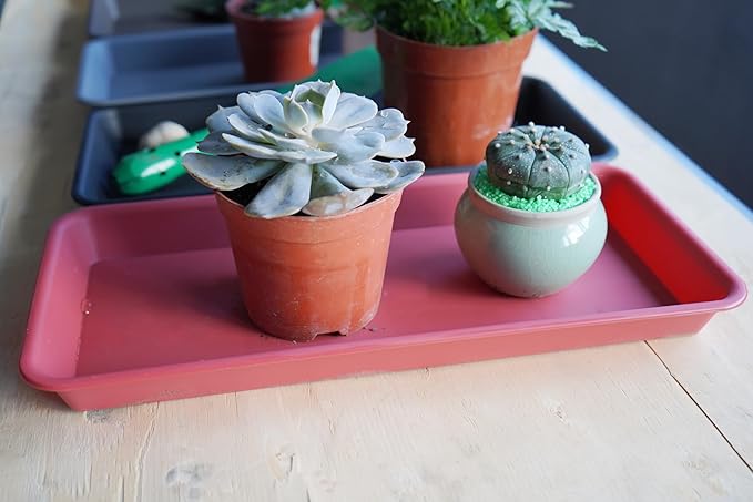 VUWEZ 6 Pack Rectangular Plastic Plant Tray Saucer, Terracotta, 6 X 11 Inch, 100lbs Weight Capacity, Indoor/Outdoor, Windowsill Planter Tray