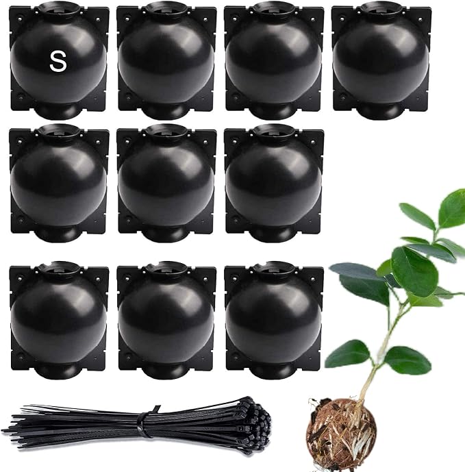 Tree Root Growing Box – Air Layering Propagation Pods for Woody Plants, Reusable Transparent Rooting Device for Magnolia, Fig, Citrus & Roses (10pcs Small, 3–9mm Branches)