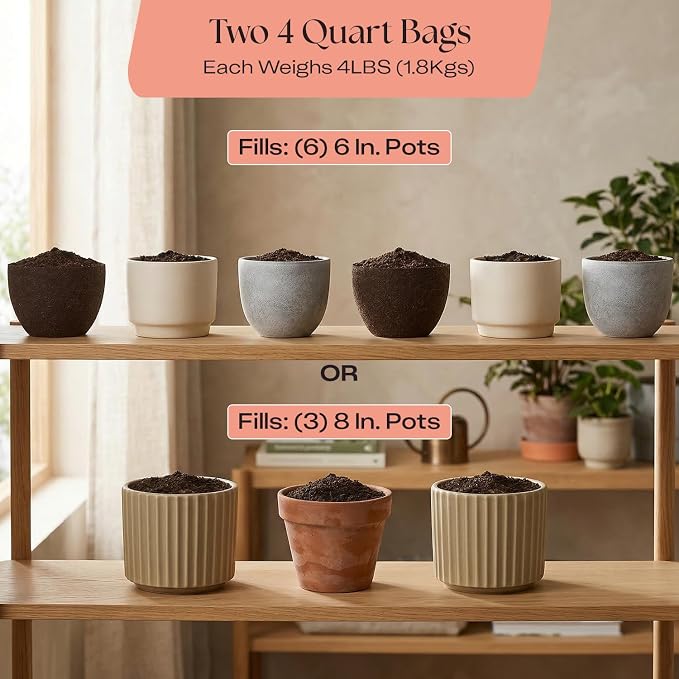 Rosy Soil Cactus Soil – Organic Succulent Potting Mix, Chunky Fast Draining, Peat-Free, Root Boosting Mix for AloeVera, Cacti, Indoor Succulents - 4qt, Pack of 2