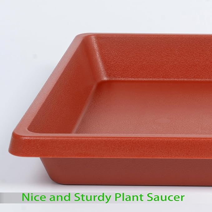 Square Plant Saucer 10 Inch 2 Pack, Plant Drip Trays and Flower Pot Saucers，Doubles Plant Water Catcher Tray, Plant Trays for Indoors No Holes, Plant Drainage Tray Saucers for Potted Plants
