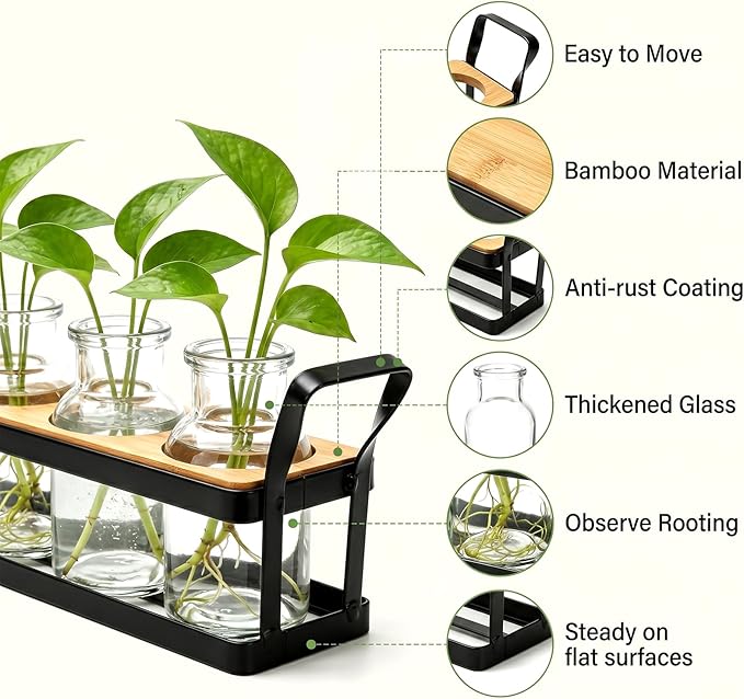 Salzesfalls Propagation Stations with Metal Stand,Plant Propagation Station & Vases,Table Top Plant Stand, 5 Glass Jars for Hydroponic Plant Propagation, Plant Lover Gifts