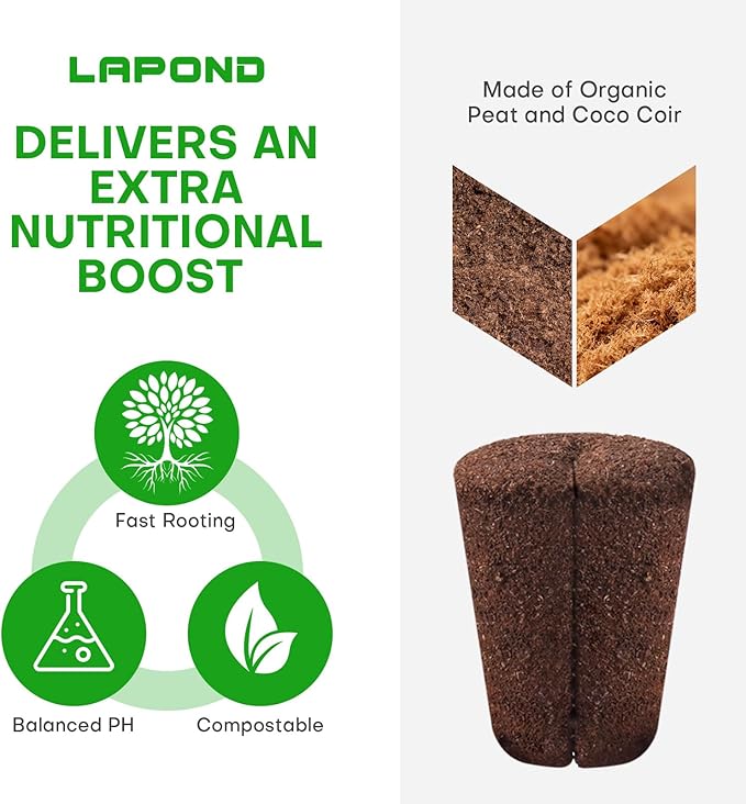40 Pcs Grow Sponges with Tray, Plant Starter Plugs for Cuttings, Great for Soil, Tray or Planting Pods Plant Rooter, Promotes Herbs, Vegetables and Flowers Growth