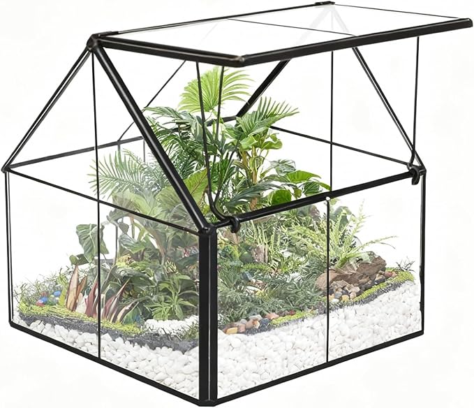Ferrisland Glass Plant Terrarium Container Wardian Case Indoor Small Succulent Terrarium Planter w/Door for Tabletop Decor DIY - 4.9"x4.3"x4.3"