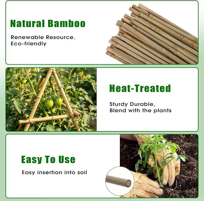 Plant Bamboo Post,8Feet,40Pack,Bamboo Garden Stakes,Bamboo Stakes,for Tomato,Beans,Vegetable and Flowers, Potted Plants,Indoor and Outdoor Climbing Plants (8Ft,40Pack)