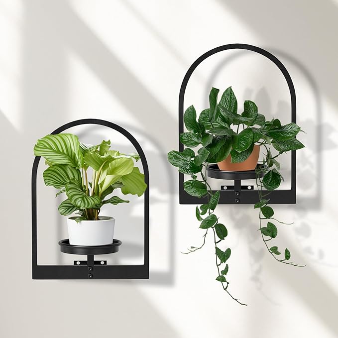Wall Planters for Indoor Plants Shelves Set of 2, Hanging Planter for Indoor Plant Stand Plants Wall Decor - Premium Metal Hanging Plant Holder (Semi-Round)