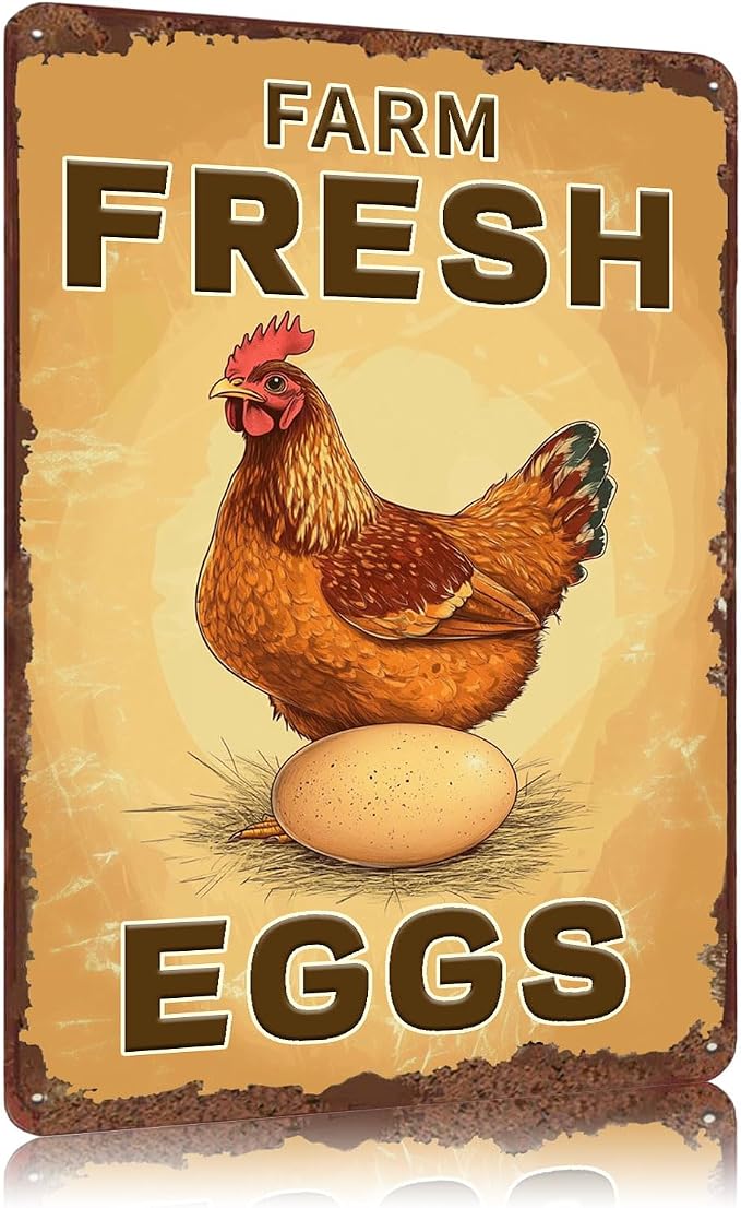 Funny Coop Sign Farm Fresh Eggs Chicken Metal Tin Sign Wall Decor for Farmhouse Home Kitchen Bar Yard Porch 12×8 Inch