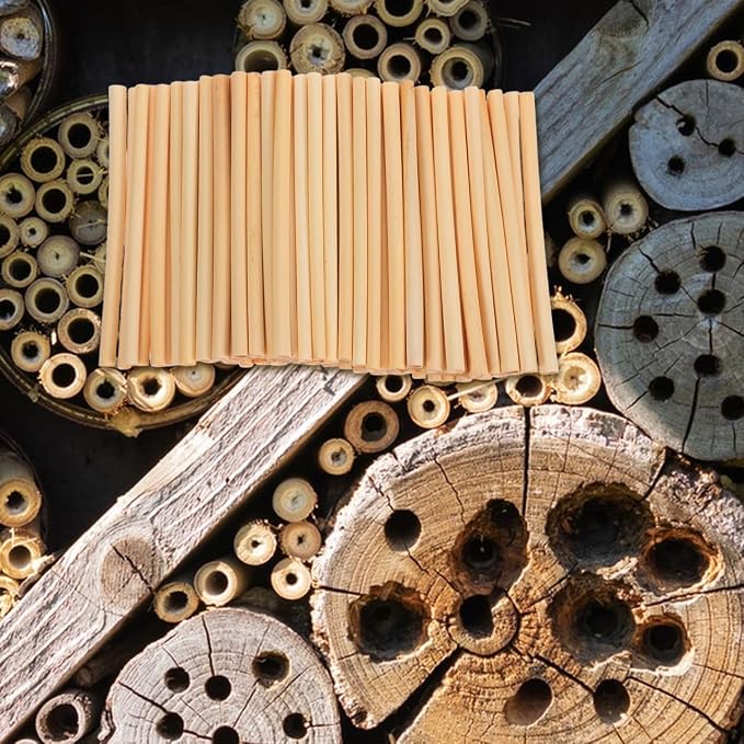Homoyoyo Natural Reed Mason Bee Tubes, 100-Pack 5.9 Inch Bee House Refill Tubes for Mason and Solitary Colonys, 0.2-0.31 Inch Diameter Reed Nesting for Colony Hotel Garden Pollinator Habitat