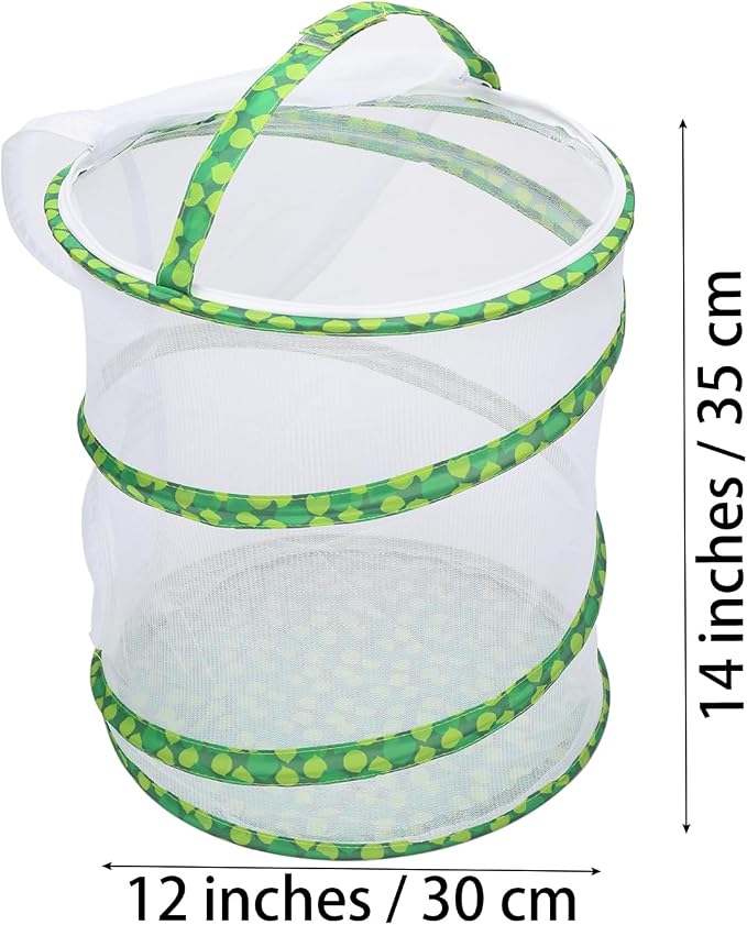 Insect Lore Butterfly Garden Habitat Foldable Washable and Reusable Butterfly Cage 11.8" x 13.8"Tall(Green-B, Medium)