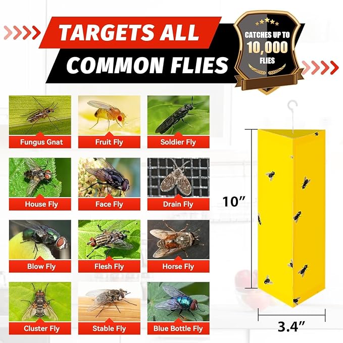 LULUCATCH Fly Glue Trap, 6 Pack Adhesive Fly Traps, Gnat Traps Sticky Bug Catcher, Non-Toxic Odorless Yellow Sticky Trap Indoor for Flies, Moths, Mosquitoes, Flea, for Garage, Barn, Greenhouse & Room