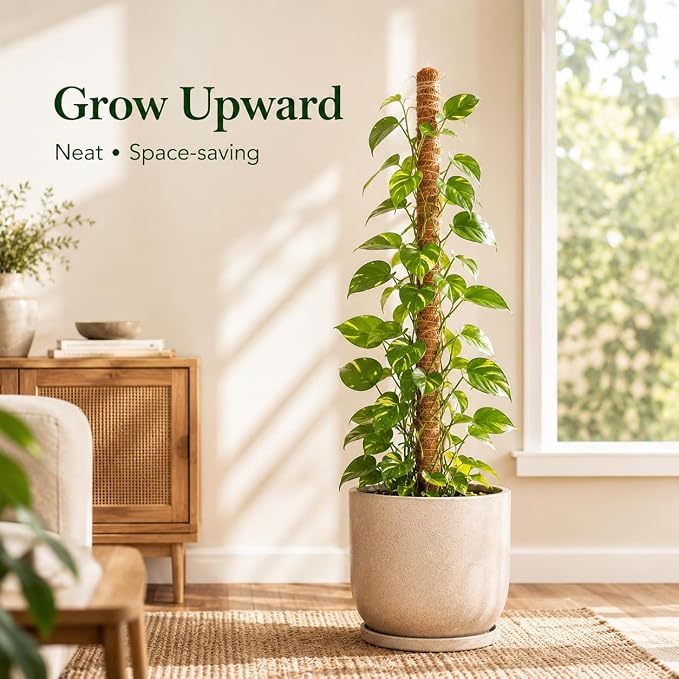 Moss Pole Monstera Plant Support, 2 Pack 28 inch Bendable Plant Support for Indoor Climbing Plants, Heavy-Duty Plant Trellis with Jute Rope & Straps