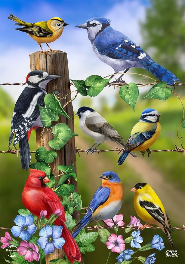 Country Birds Spring Garden Flag Goldfinches Blue Jay 12.5" x 18" Briarwood Lane