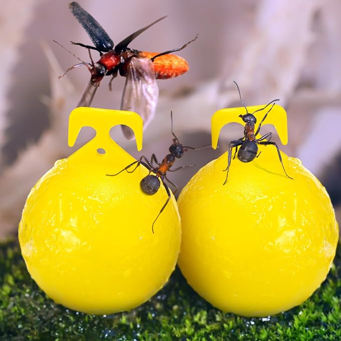 Qualirey 15 Pcs Sticky Fruit Fly Trap Ball Adhesive Fly Catching Ball Flying Insects Trap Sticky Ball with 15 Ribbon Fly Gnat Wasp Hornet Mosquito Bugs Flying Insects Trap Ball Traps(Yellow)