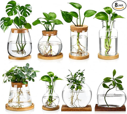 Honeydak 8 Pcs Plants Propagation Stations Planter Terrariums with Wooden Lid and Bamboo Stand Desktop Glass Propagation Vases for Plant Growing Hydroponic Home Office Tabletop Decoration