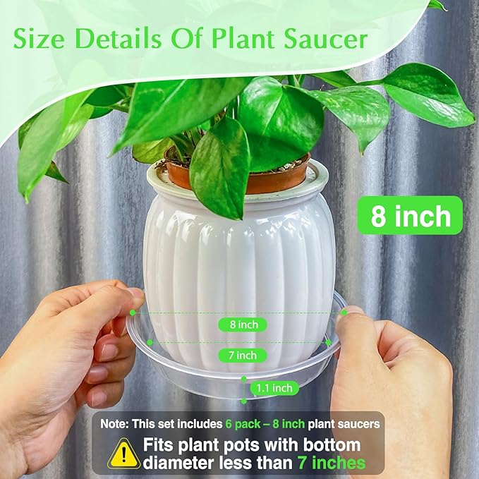 FUIJOL 6 Pack Clear Plant Saucer, Durable Plant Drip Trays Saucers for Pots, No Holes Water Catcher Trays for Indoor Outdoor Planter, Sturdy Base Plate(8", Clear)