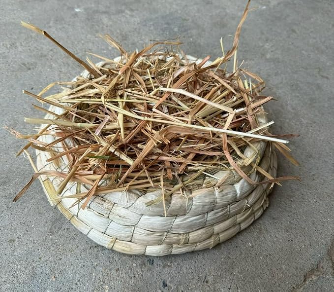 Wheat Straw 100% Natural Soft Dry Straw Bale Grass Cover Garden Mulch | for Animal bed Dogs Cats Poultry and Grass Cover Garden Mulch (yellow, 1LB)
