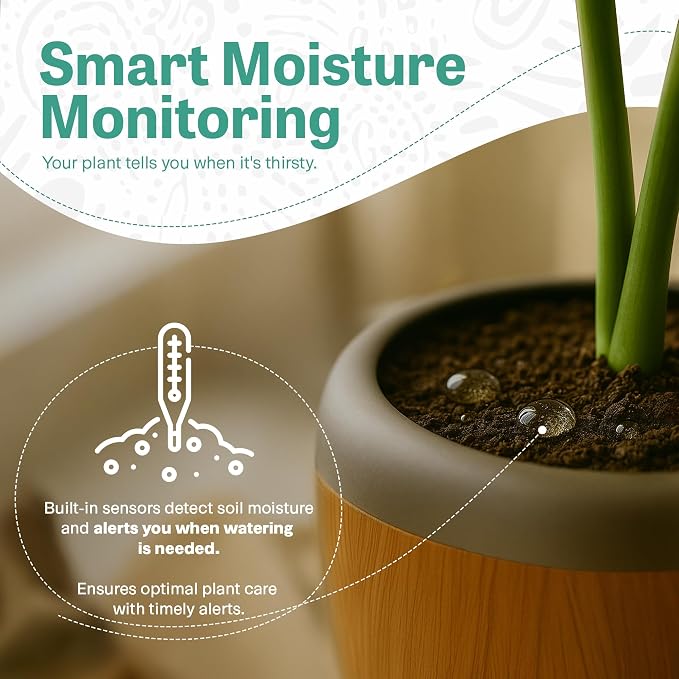 PLANTPETZ Extra Large Robotic Planter – Smart Planter Fits 6 Inch Pots | Bluetooth Speaker | Interactive Smart Plant Pot Turns A Real Plant Into a Touch/Motion Responsive Companion - Sequoia