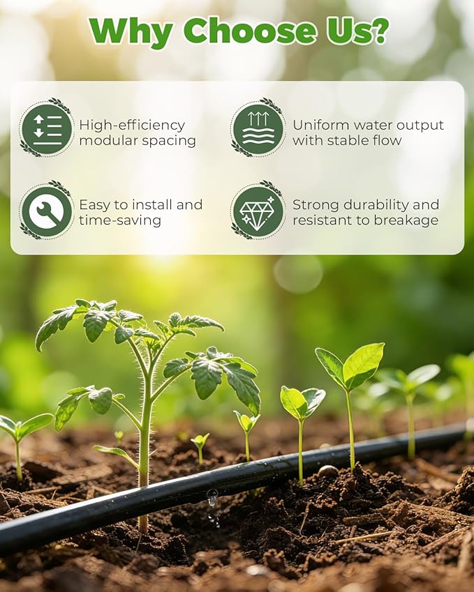 1/4" Drip Irrigation Tubing with 6" Emitter Spacing, (650 Ft Roll) Hydroponics Dripline with Built-in 0.5 GPH Dripper, Saving 80% Water, Drip Line for Greenhouses and Dense Planting Areas (Black)