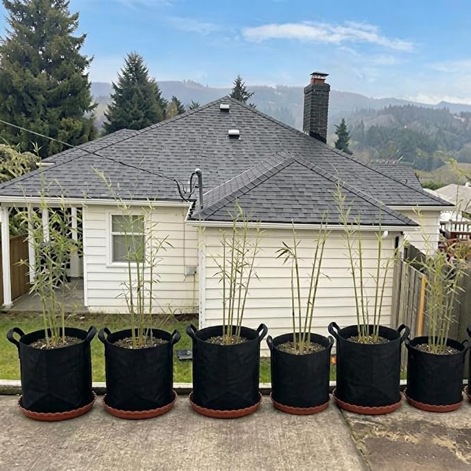 ORIMERC 4 Pack Grow Bags 5 Gallon for Growing Strawberry Tomato Self Watering Planter Fabric Plant Grow Bag Come with Plastic Plant Saucer 300G Thickened Garden Pots to Grow Vegetables, Fruit, Flower