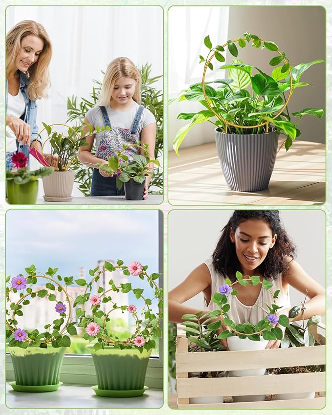 3 Pack Circle Plant Trellis Indoor, Small Metal Plant Support Stake for Climbing Plants, Different Sizes Round Garden Trellis for Ivy and Flowers Outdoor (Gold)