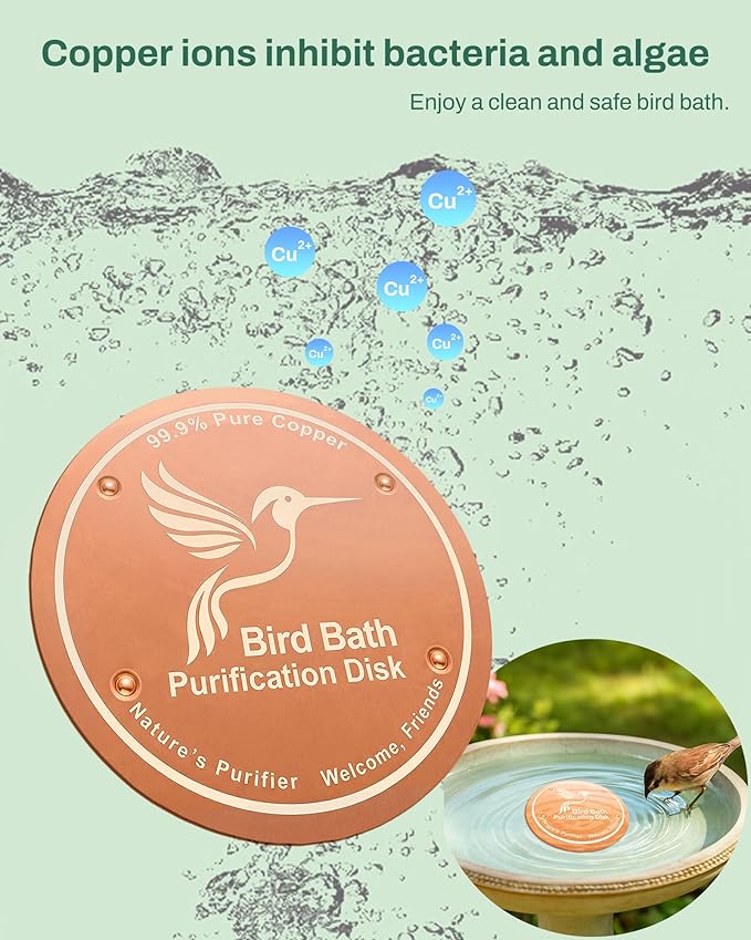 Bird Bath Purification Disc Pure Copper Backyard Outside Solar Power Wild Hummingbird Pedestal Fountain Cleaner Outside Feeder Cage Dispenser Heater Outdoor Railing Glass Concrete Gifts Rose