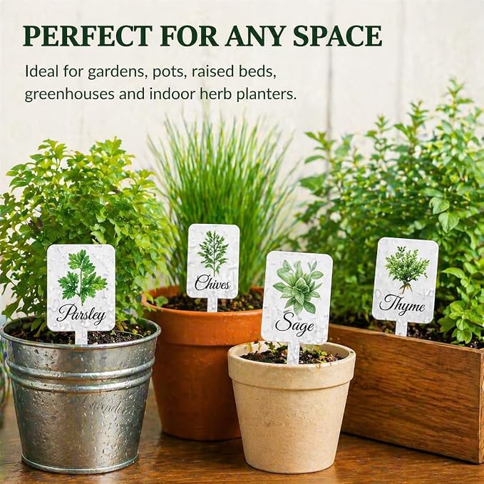 12Pcs Herb Garden Signs - 12 Styles Plant Labels with Names for Vegetables, Indoor/Outdoor Garden Decoration
