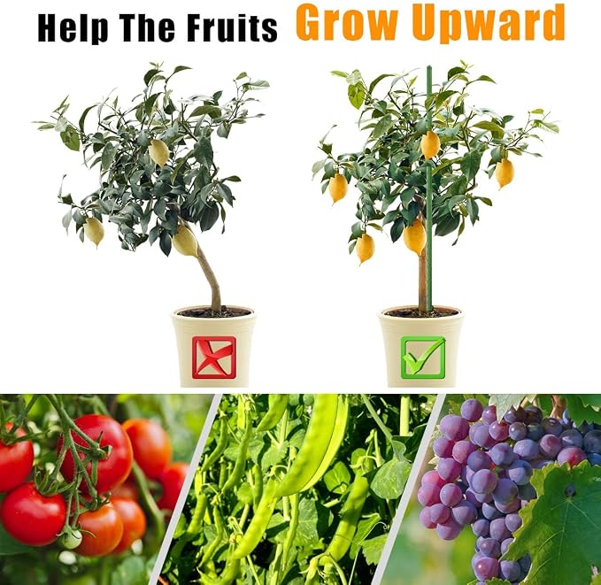 LAVEVE Garden Stakes 67 Inches Heavy Duty Steel Tomato Stake, Plastic Coated Support for Securing Trees, Climbing Plants, Cucumber, Beans, Pack of 20
