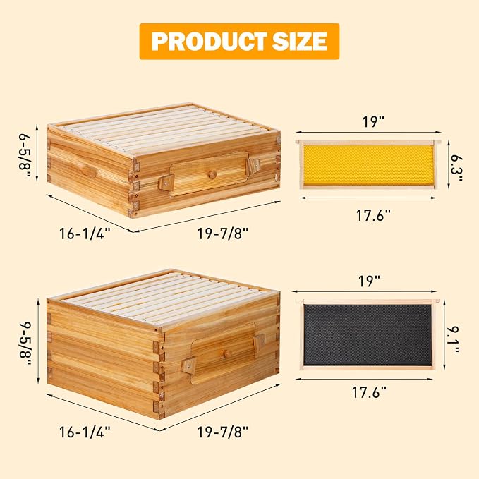 BeeCastle 10-Frame Langstroth Beehive with Windows, Beeswaxed Coated Bee Hive for Beginners with Beehive Frames and Waxed Foundations (2 Deep Bee Boxes & 1 Medium Super Bee Box)