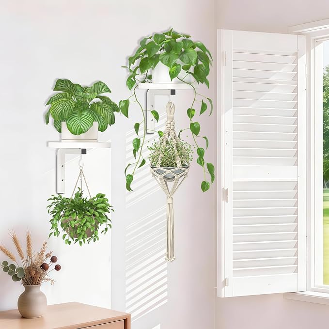 iDavosic.ly Wall Plant Holder Set of 2 for Indoor Outdoor, Metal Hanger with 2 Hooks, Floating Flower Display Stand for Window, Space Saving & Easy to Assemble (Pots/Chains/Plants Not Included), White
