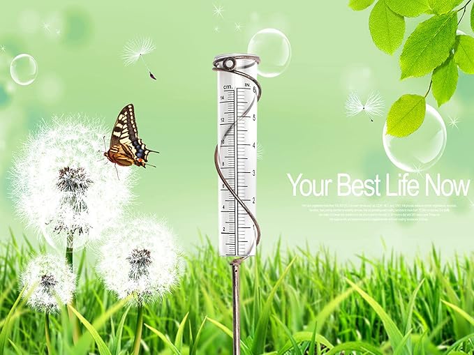 BIUWING 6 inch Rain Gauge Replacement Tube Glass for Yard Garden and Outdoor Home, with Tube Brush, Best Rated,2 Packs