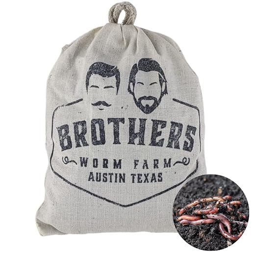 1/2 LB (~500) Red Wiggler Compost Worm Blend. Live Worms for Composting and Creating Worm Castings at Home. Ideal for Worm Composters, Gardens, and Worm Bins.