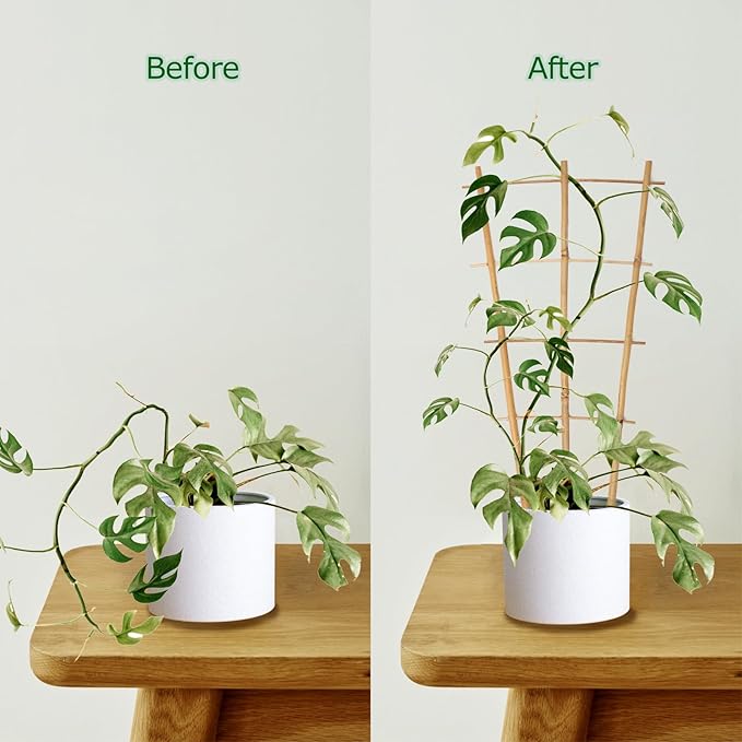 Cambaverd Bamboo Trellis 10 Pack, 16in Fan-Shaped Plant Trellis Indoor for Climbing Plants