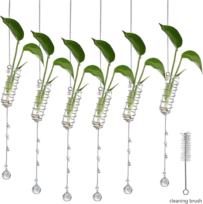 H&D HYALINE & DORA 6 Pcs Hanging Plant Propagation Station with Crystal Ball Prisms Suncatcher and Cleaning Brush, Glass Plant Suncatcher for Indoor Wall Plants Gifts for Plants Lovers(Silver)