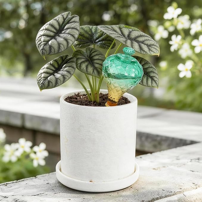 12 oz Plant Watering Globes, Green Glass Self Watering Bulbs Top Fill with Terracotta Spikes Stake, Self Watering Planter Insert Vacation Automatic Plant Waterer Device for Indoor & Outdoor 2Pack