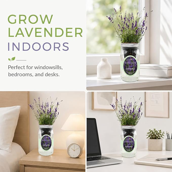 Hydroponic Herb Growing Kit, Self-Watering Mason Jar Herb Garden Starter Kit Indoor, Windowsill Herbs Garden, Grow Your Own Herbs from Organic Seeds (Lavender)