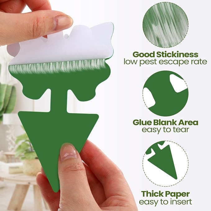 Qualirey 200 Sheets Fruit Fly Sticky Traps for Fruit Fly Gnat Trap for House Indoors Sticky Traps Catcher for Gnats Fungus Gnats Mosquito Catcher for Kitchen Outdoor Plants (Green)