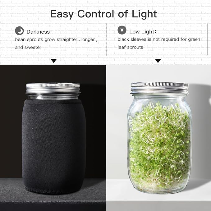 Seed Sprouting Jar Kit - 2 Wide Mouth Mason Jars with 316 Stainless Steel Sprouting Lids Covers, Drip Tray and Stand for Growing Broccoli Alfalfa Beans Sprout (Two Jars)