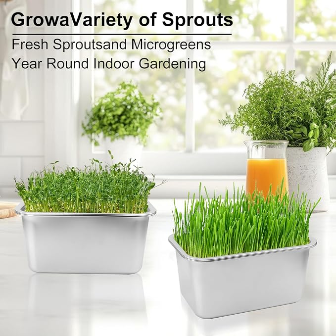 2 Set (4 Pack) Stainless Steel Sprouting Tray, 13 x 9 inches Stainless Steel Germination Trays for Indoor Microgreens, Broccoli Sprouts & Wheatgrass