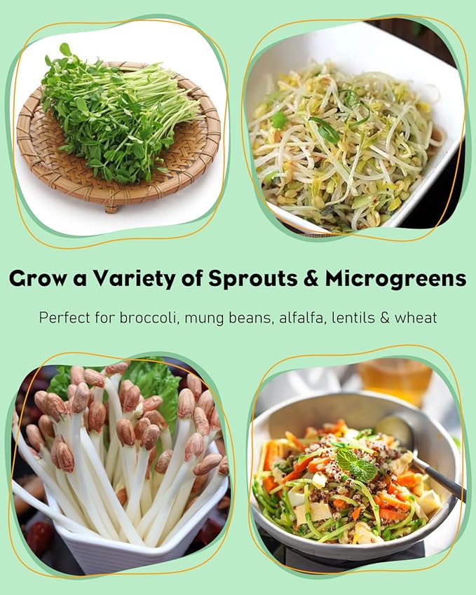 Pawfly Sprouting Kit, Wide Mouth 1 Quart (1000 mL) Mason Jars, Sprouting Jar Kit with Stainless Steel Mesh Sprouting Lids, Sprouts Growing Kit, Seed Sprouter for Broccoli, Mung Bean & Alfalfa