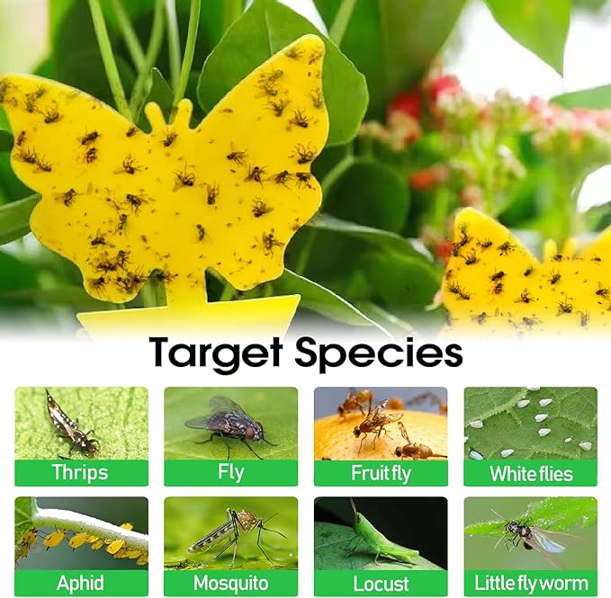 58 Pack Yellow Sticky Gnat Traps for Plants - Fungus Gnat Killer, Fruit Fly Traps for Indoors, Gnat Sticky Traps for Plants, Family Friendly Design, Sunflower + Butterfly Shapes
