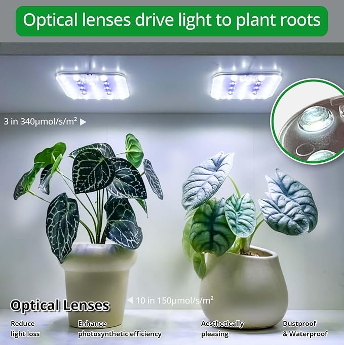 Full Spectrum LED Grow Light for Indoor Plants, 2 Panels 10W with 6/12/16h Timer Dimmable Plant Lights for Flower Veg Plant Growth USB, Bluish White, 2-Pack