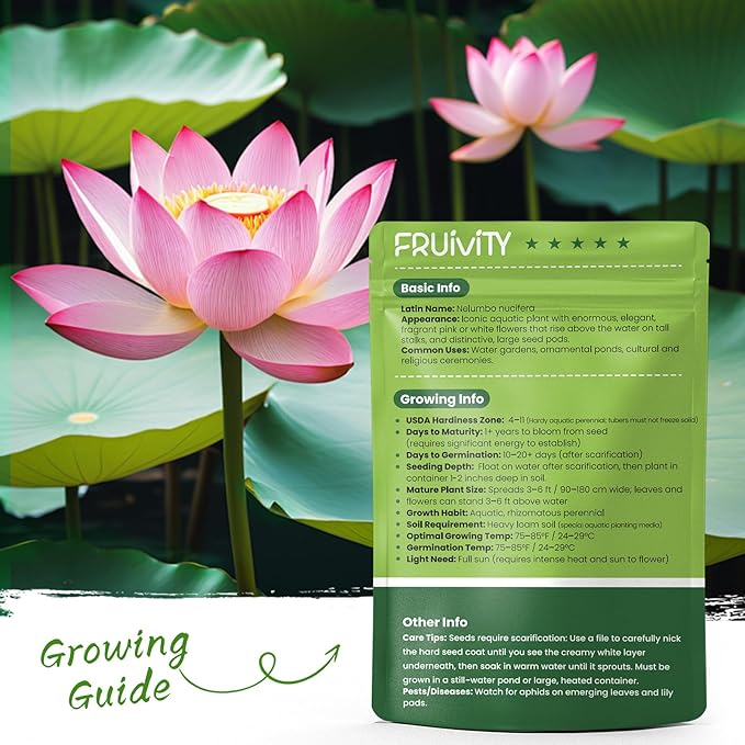 30 PCS Lotus Seeds for Planting in Water - Mixed Color Bowl Lotus Seeds, Live Pond Plant Water Lily Seeds for Indoor Bonsai, Koi Pond, Outdoor Ponds & Garden