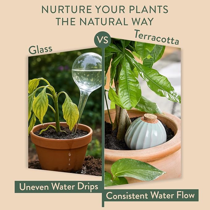 Modern Sprout Terracotta Self-Watering Bulbs for Indoor Plants,10oz Watering Globes 3 Pack, Glazed Finish with Cork Top - Plum, Sage & Mustard, Decorative Plant Accessories, Father's Day Gift for Dad