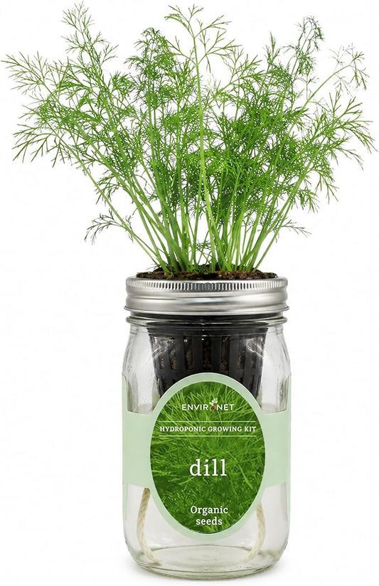 Hydroponic Herb Growing Kit, Self-Watering Mason Jar Herb Garden Starter Kit Indoor, Windowsill Herbs Garden, New Christmas Grden Gift for Mom (Dill)